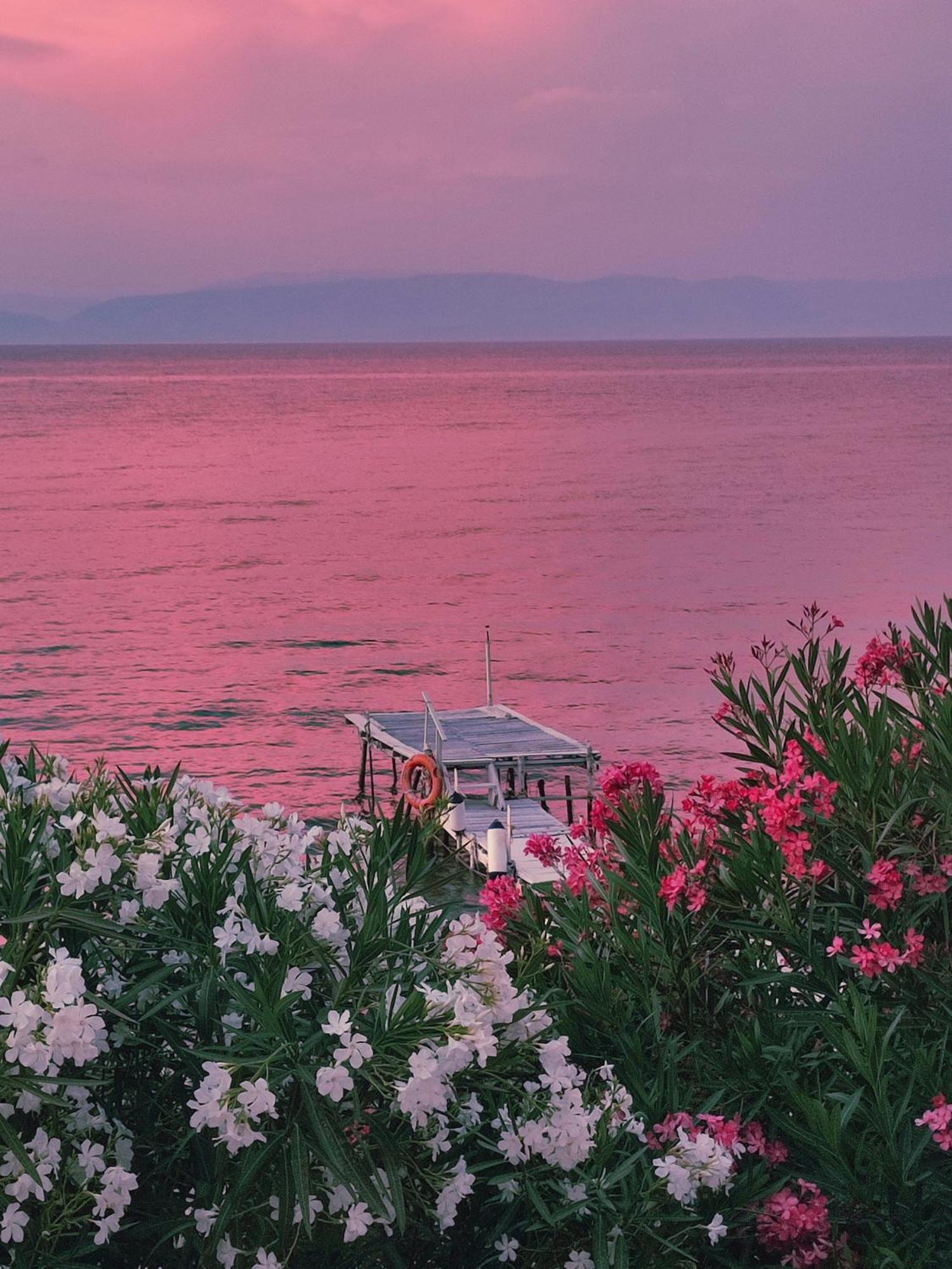 Chelona - Coastal * Corfu (city)