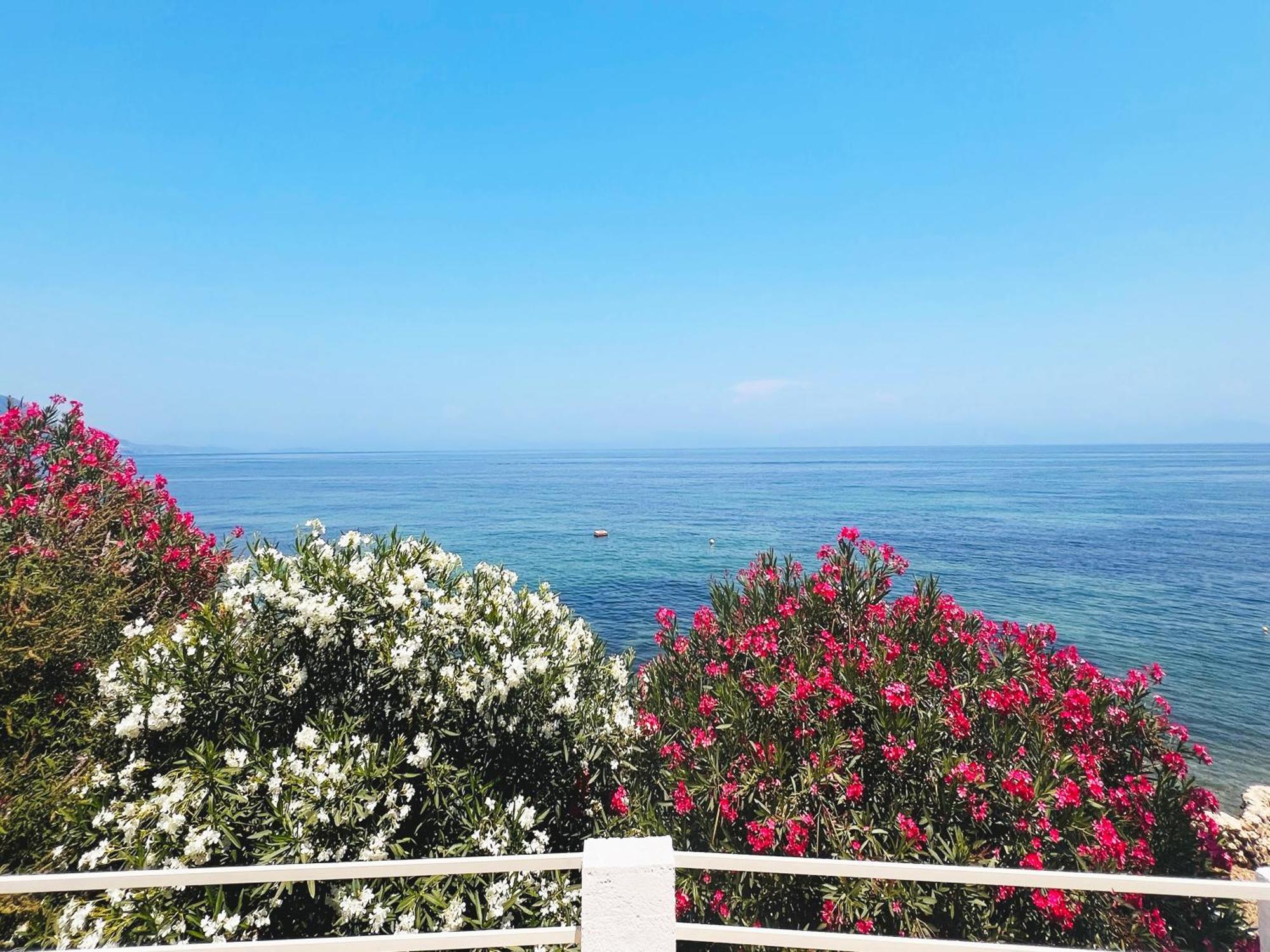 Apartment Chelona - Coastal *